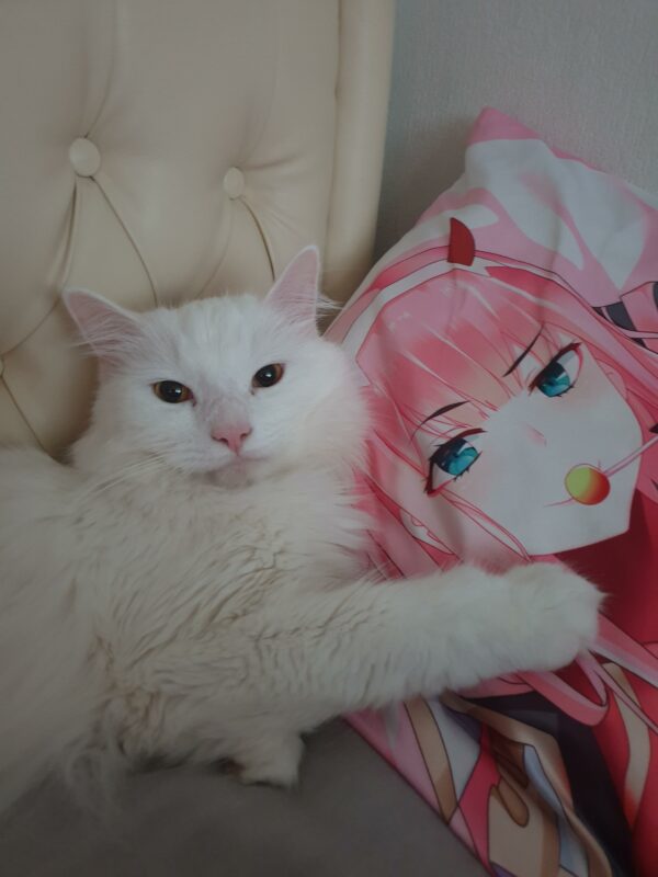 long distance relationship body pillow